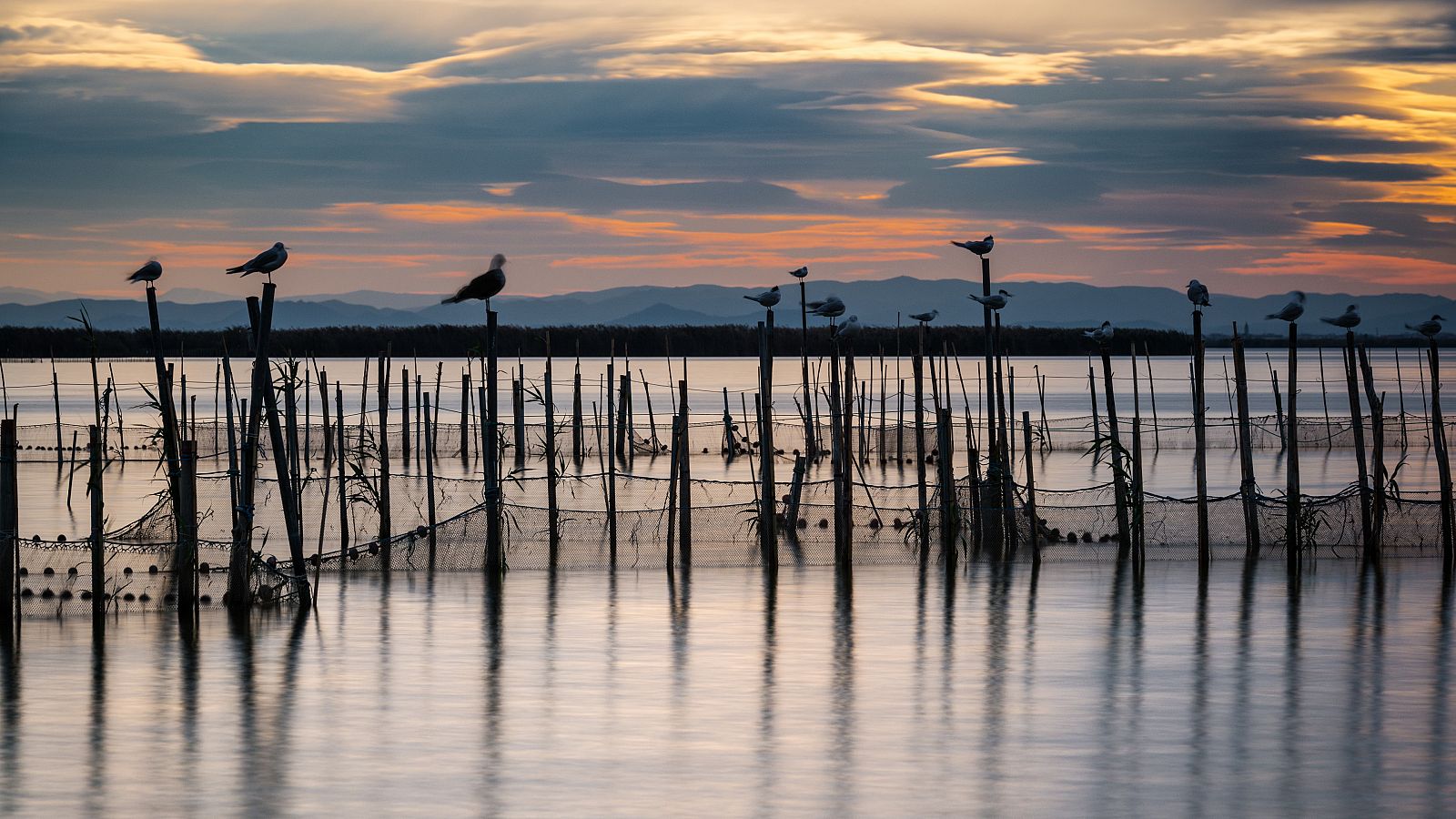 Albufera de Valencia, al atardecer.