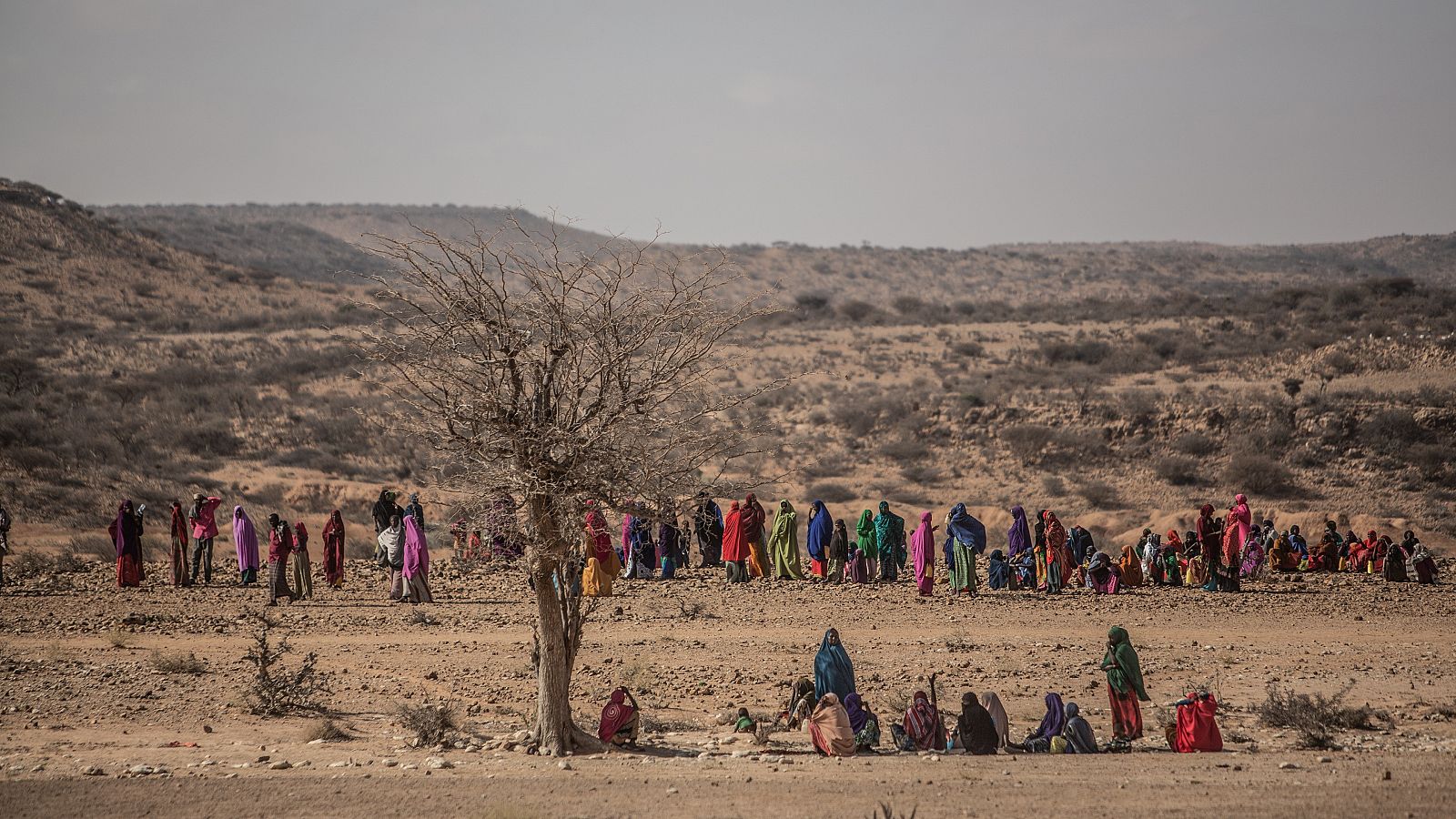  En Somalilandia y Somalia aproximadamente 4,9 millones de personas padecen inseguridad alimentaria y 2,6 millones de desplazados internos