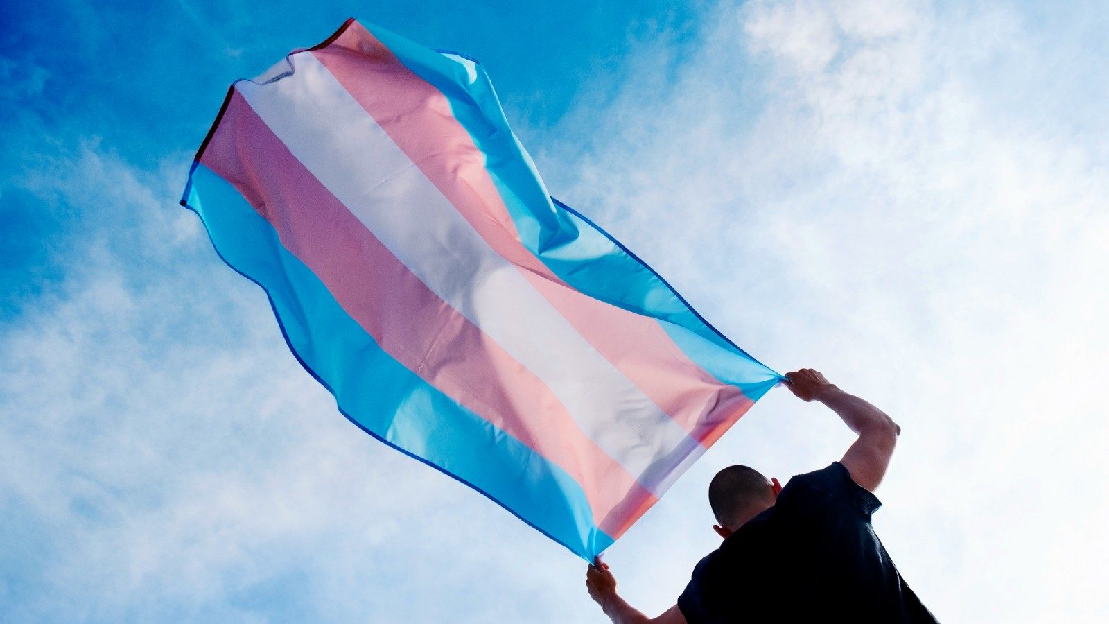 Una persona porta una bandera azul, rosa y blanca, símbolo del colectivo trans