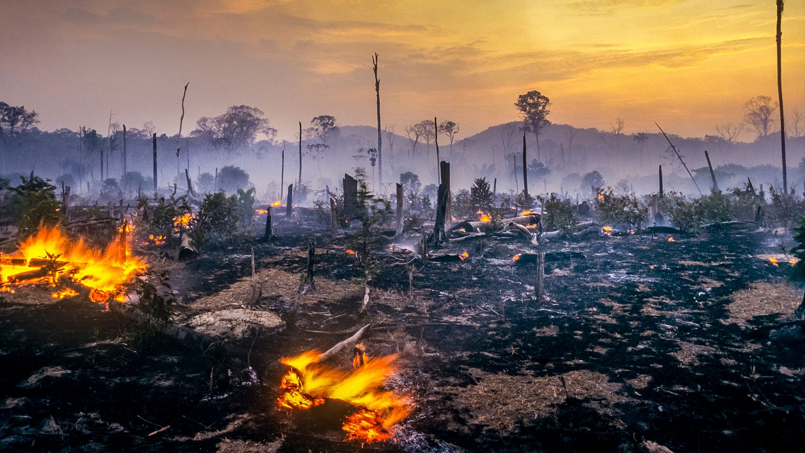 Los incendios en la selva tropical brasileña han alcanzado récords históricos bajo el mandato de Bolsonaro.