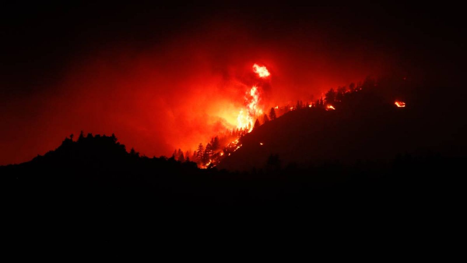 Árboles arden en el incendio forestal del Complejo Beckwourth, EE.UU.