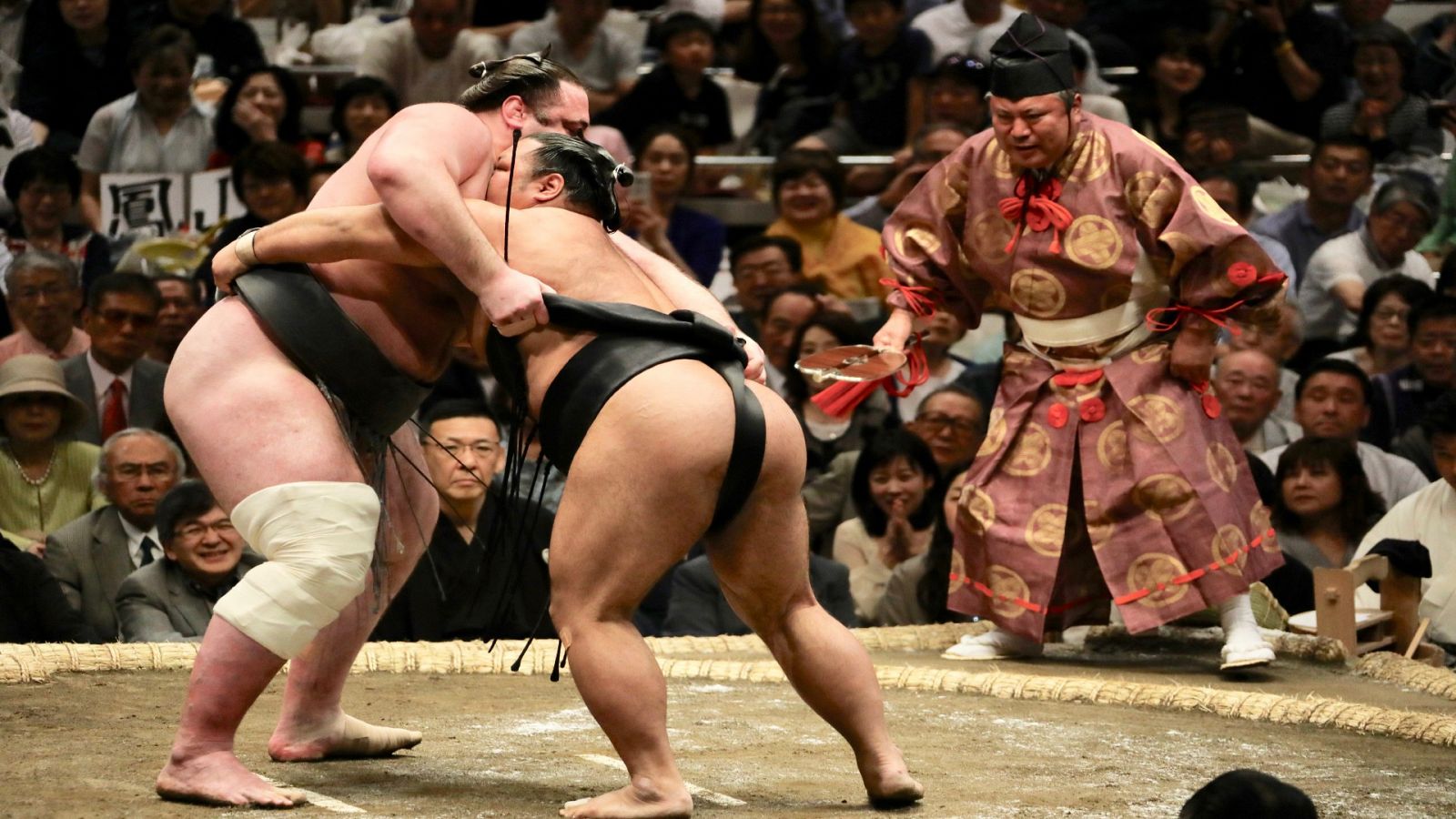 Combate de sumo