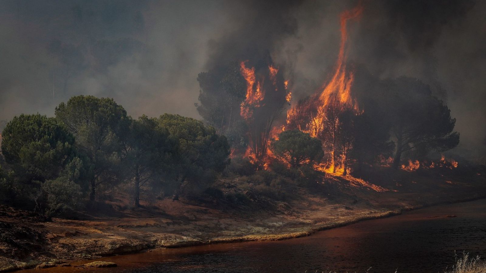 Imagen del incendio forestal en Villarrasa, Huelva, el 24 de julio de 2021