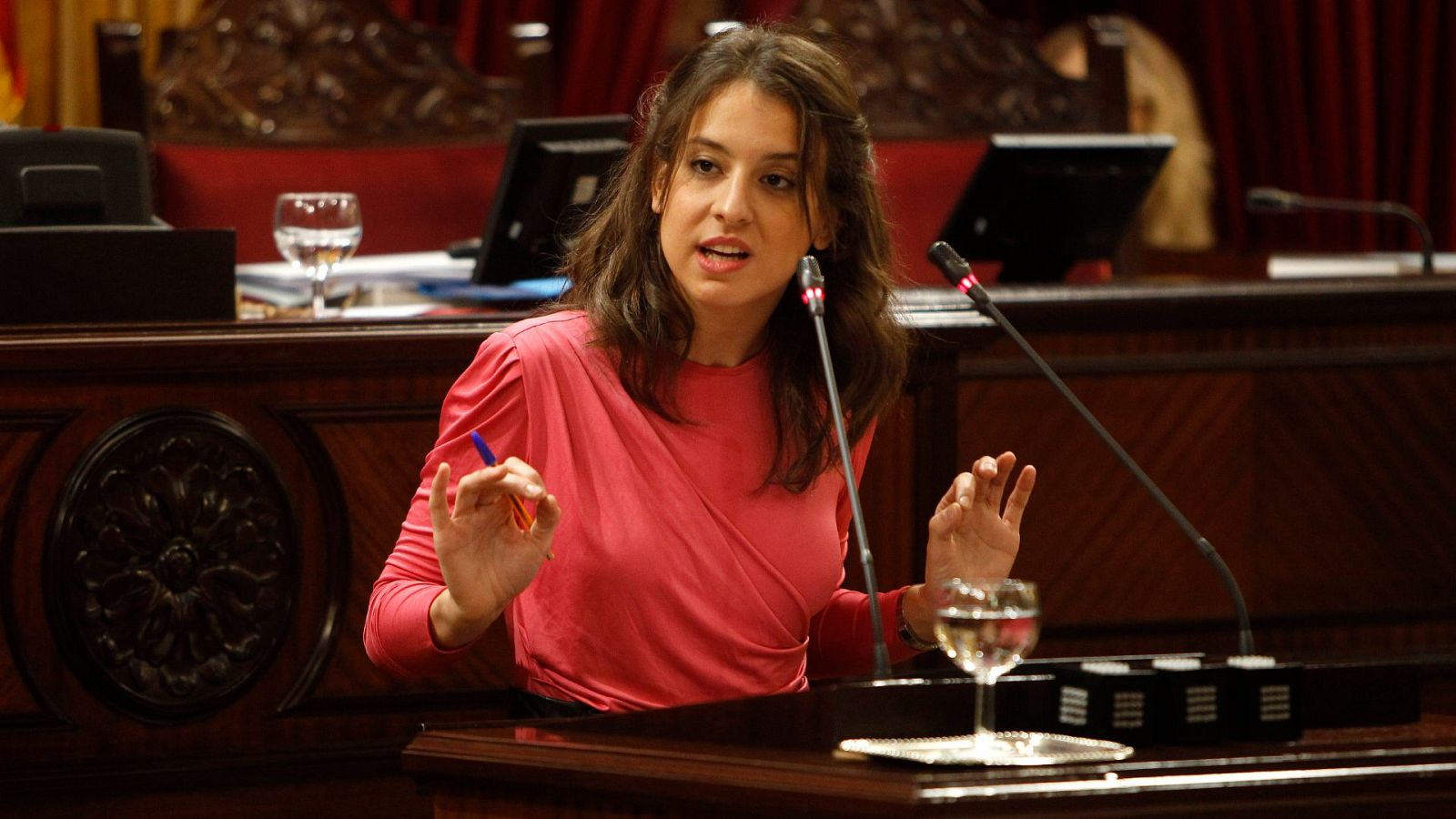 La diputada autonómica de Unidas Podemos, Gloria Santiago