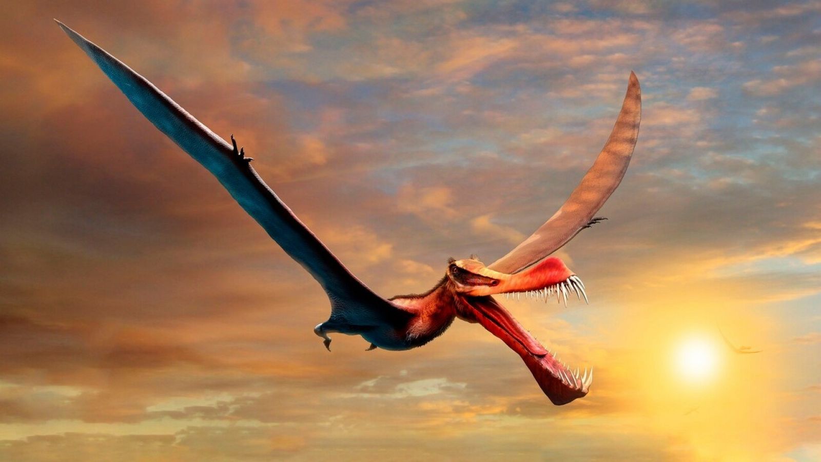 Hallan en Australia un dinosaurio volador parecido a un dragón