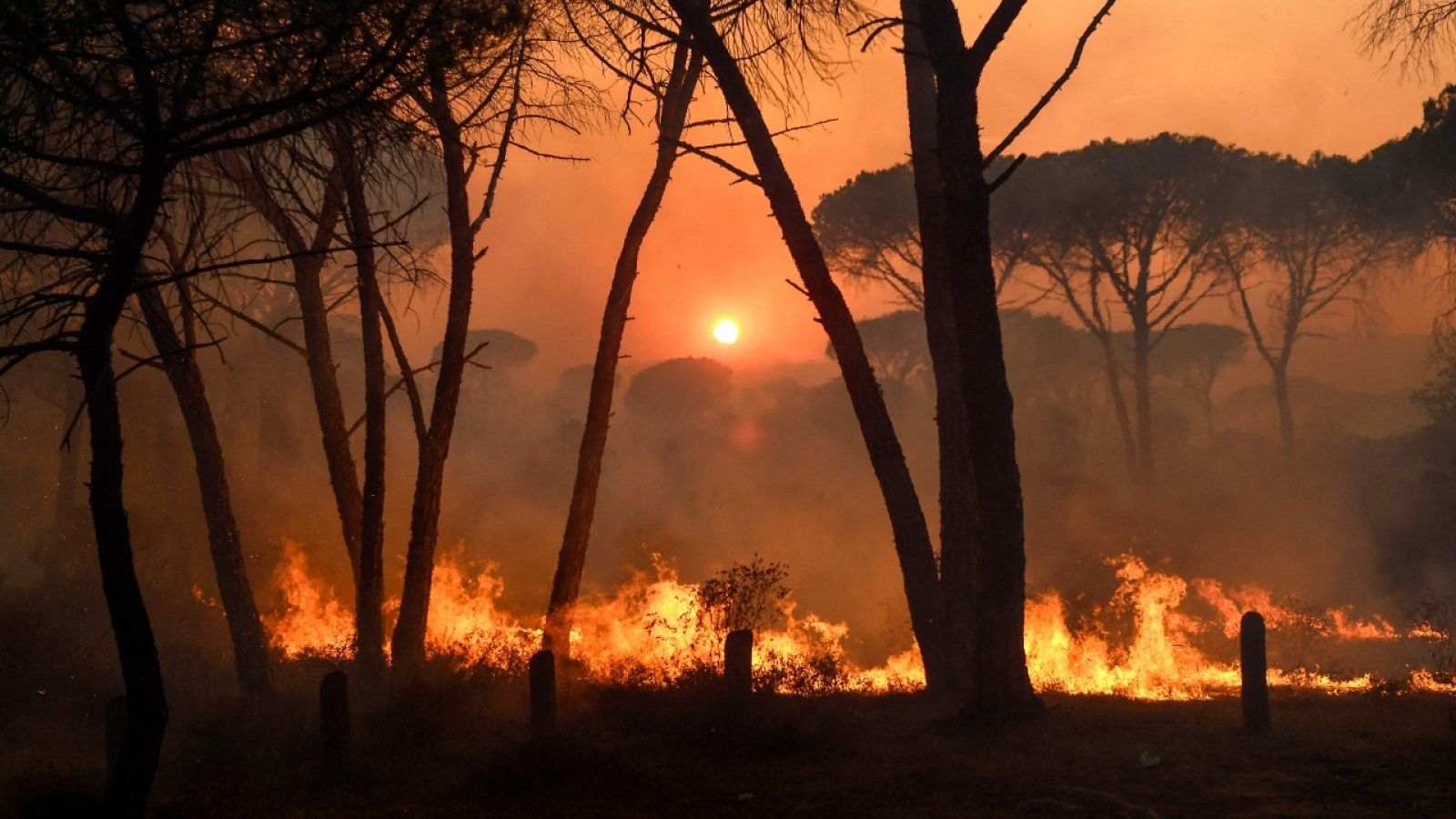 Las llamas arden cerca de Gonfaron, en el departamento de Var