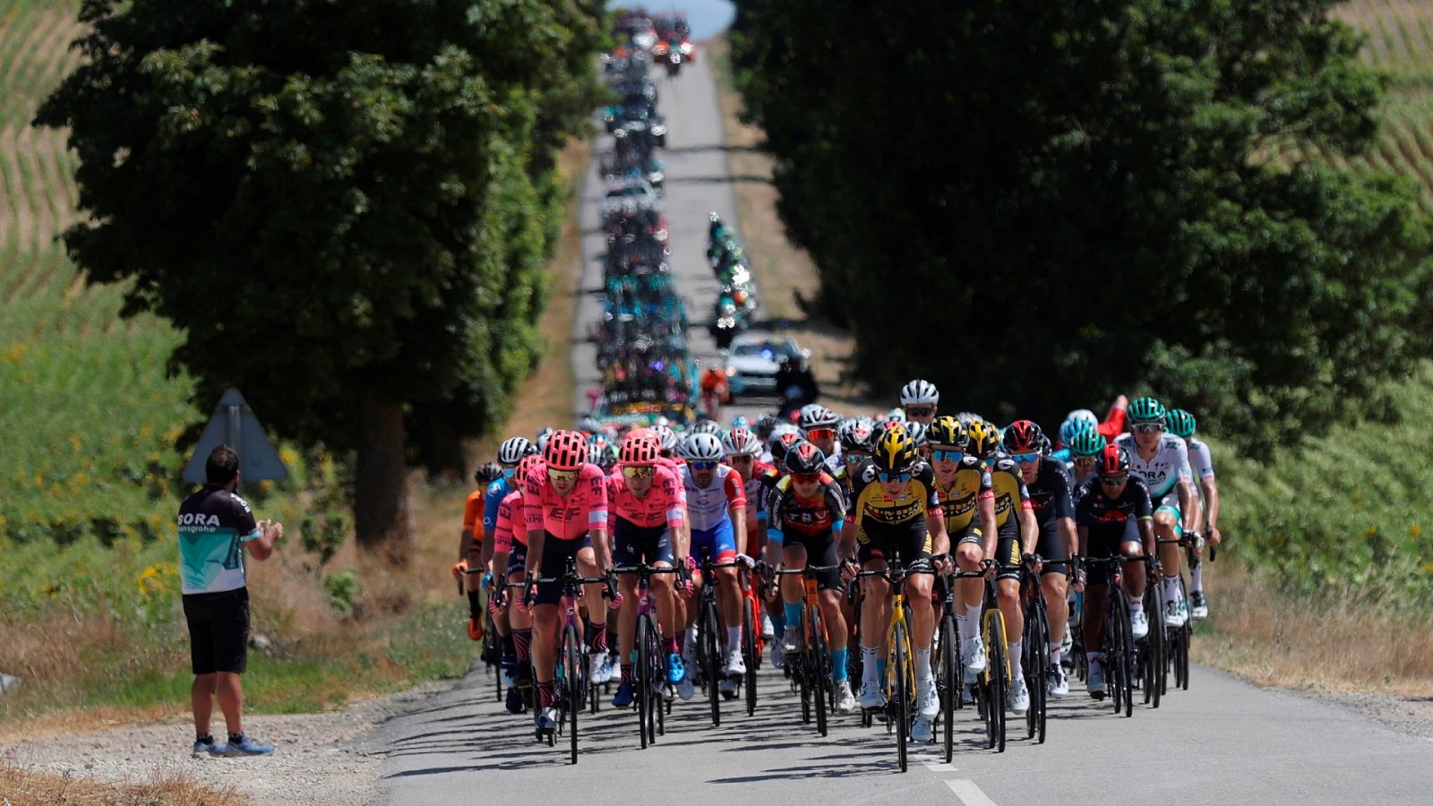 El pelotón de la Vuelta 2021, en una etapa previa.