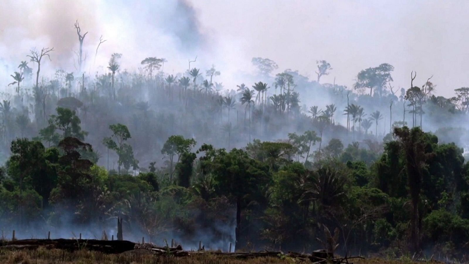 Selva ardiendo en la Amazonía brasileña