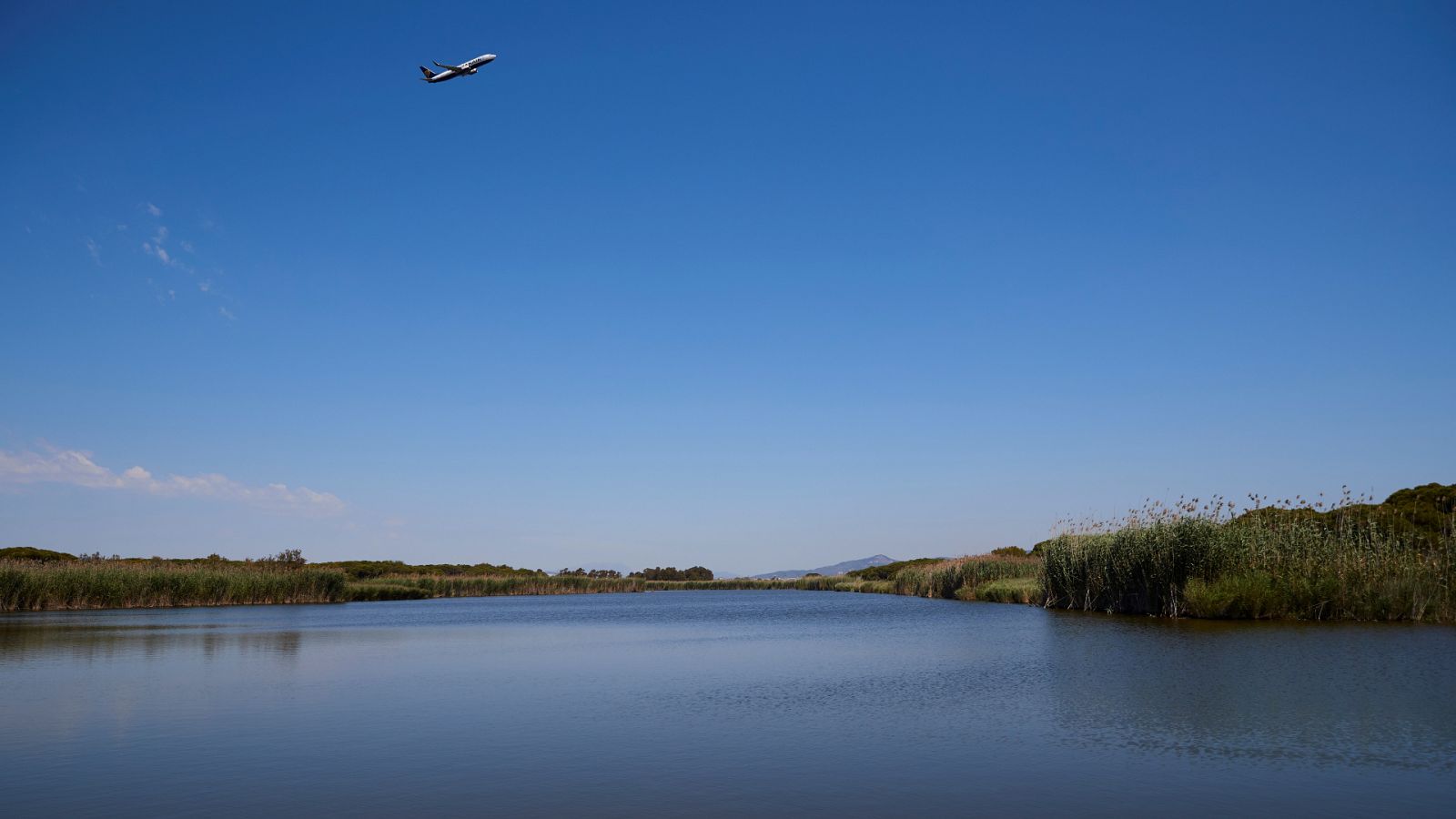 Un avión sobrevuela la laguna de La Ricarda, junto al aeropuerto de El Prat.