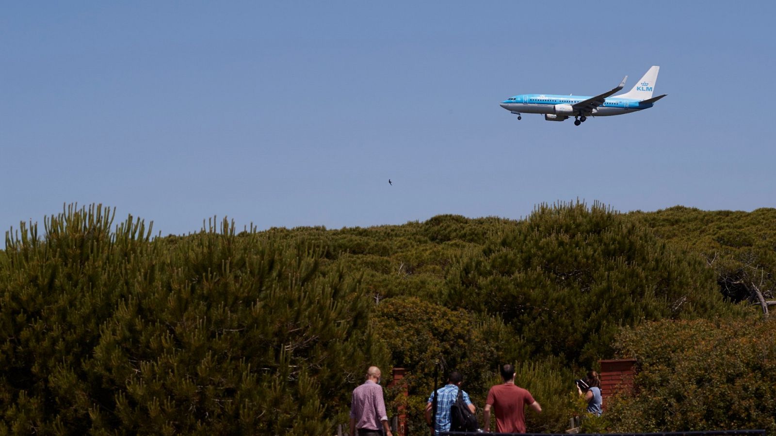 Un avión sobrevuela las inmediaciones del espacio natural protegido de la Ricarda, junto al aeropuerto de Barcelona