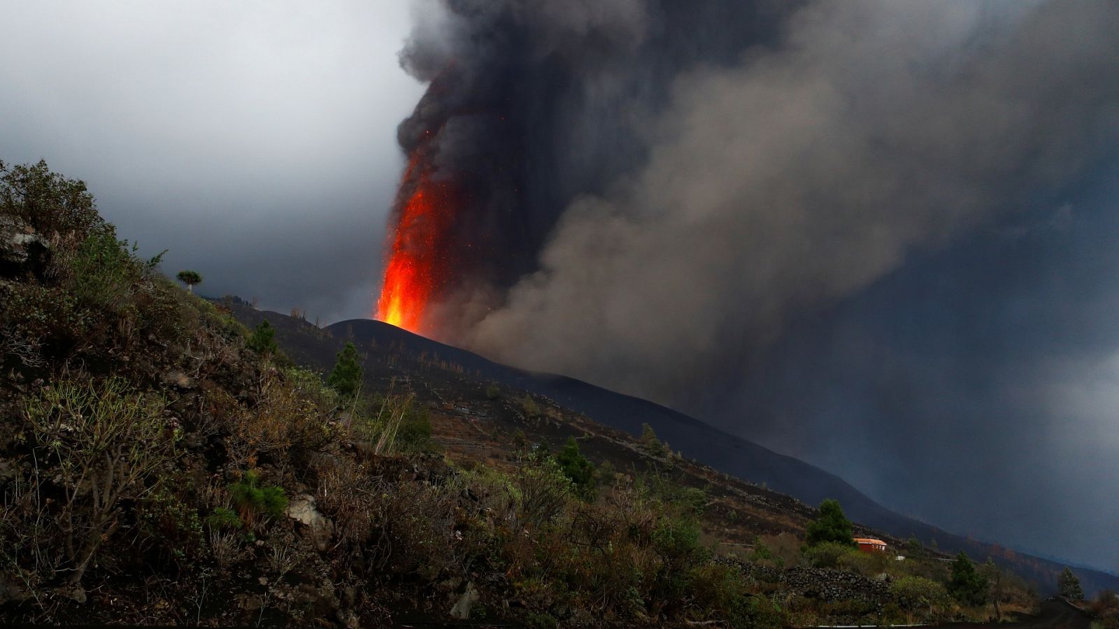 La lava se eleva tras la erupción del volcán en la isla de La Palma