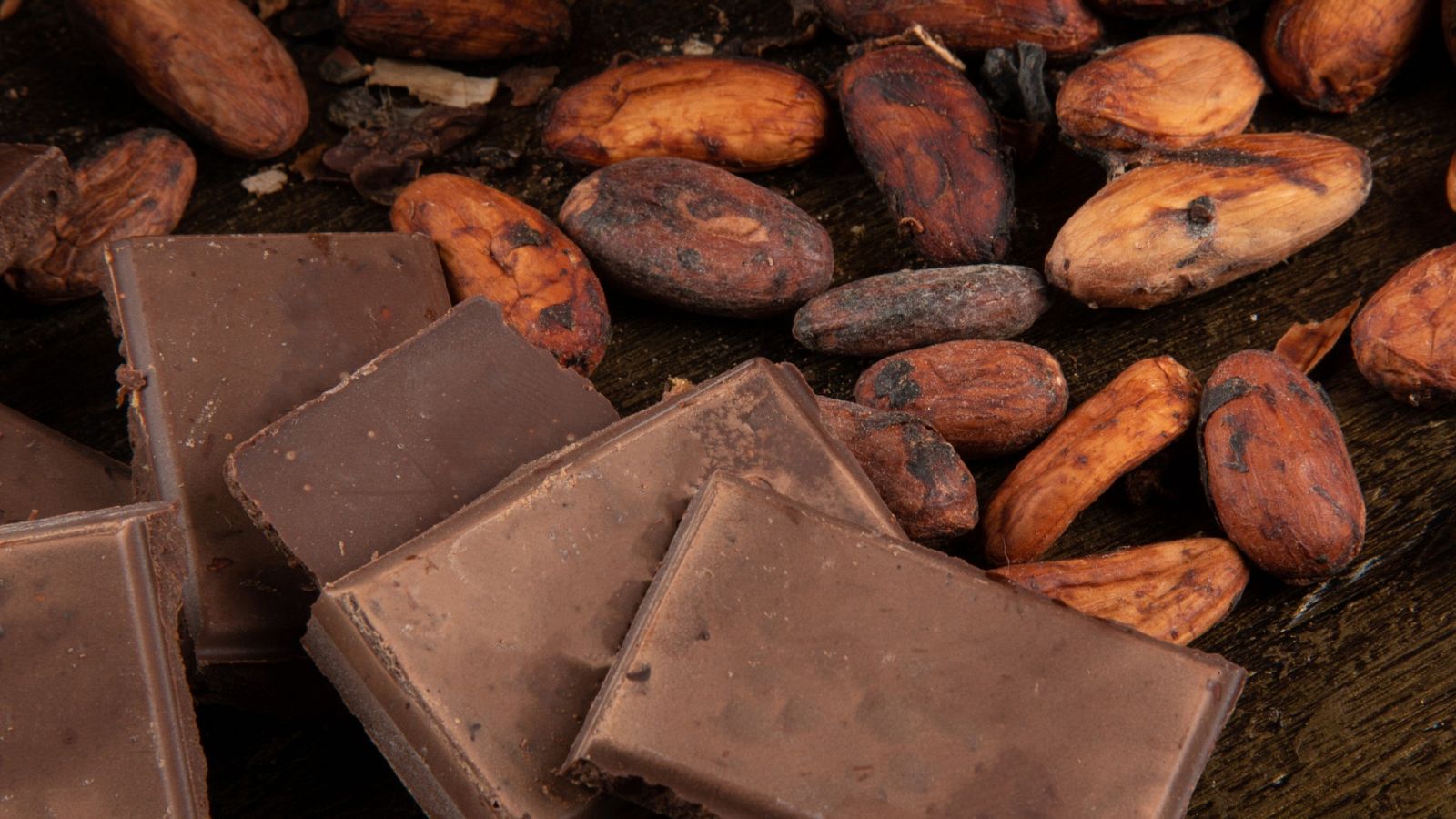 Cacao y chocolate