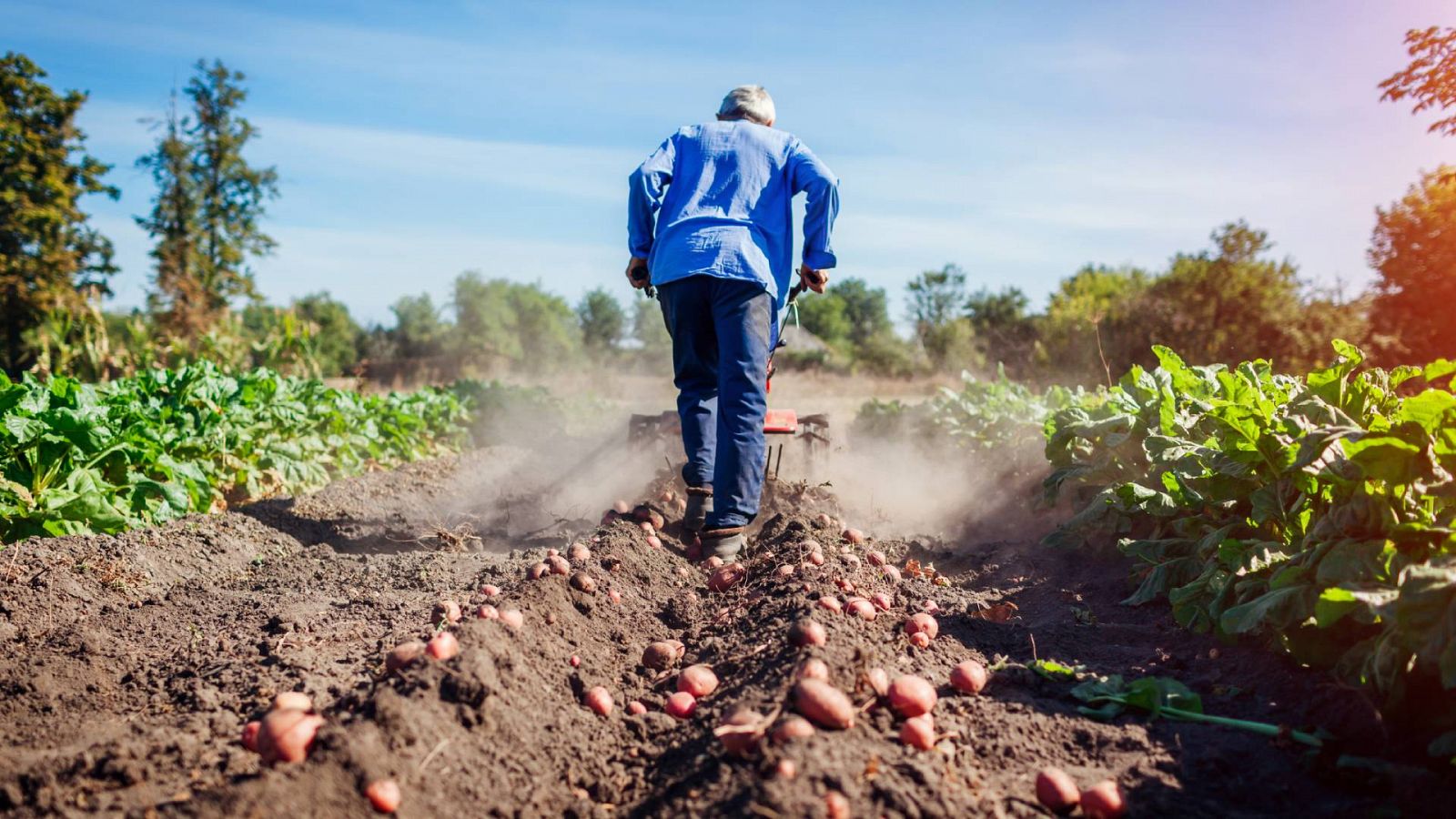 Agricultores y ganaderos alertan de una crisis sin precedentes en el campo por la subida de costes de las materias primas