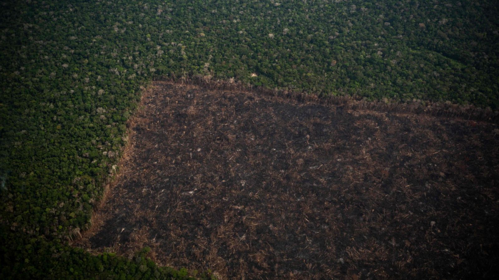 Una imagen aérea del 15 de septiembre del 2021 que muestra un área deforestada de la selva amazónica en Labrea, Brasil.