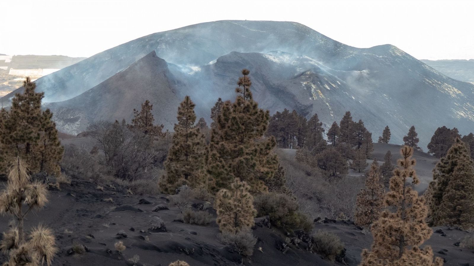 Ceniza en la zona del volcán de Cumbre Vieja en La Palma, que cumple tres meses
