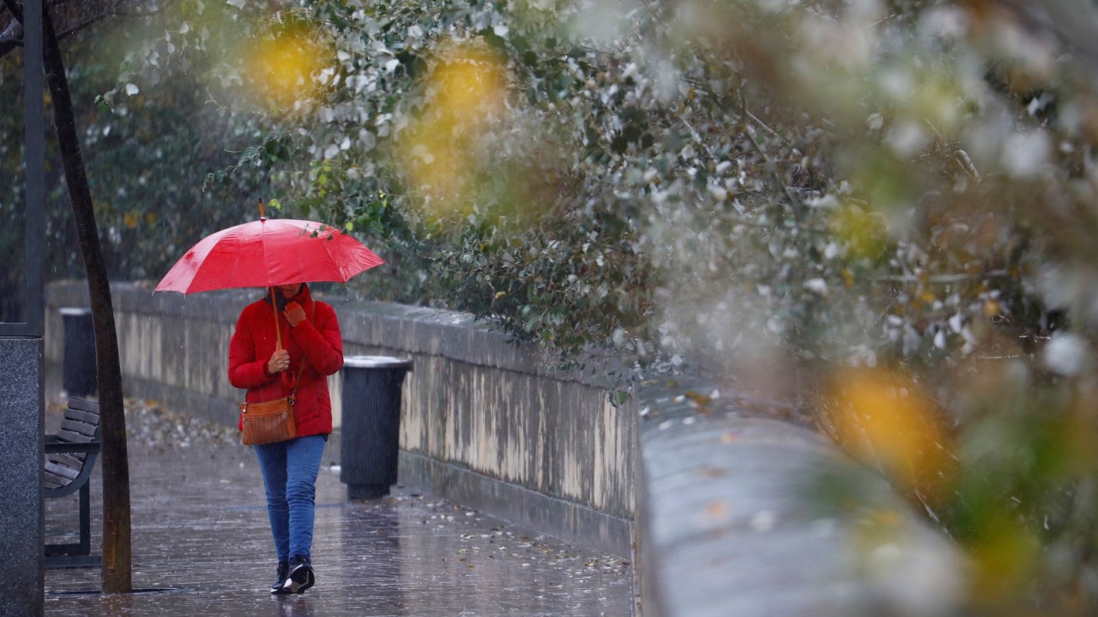 Una mujer se protege de la lluvia con un paraguas mientras camina