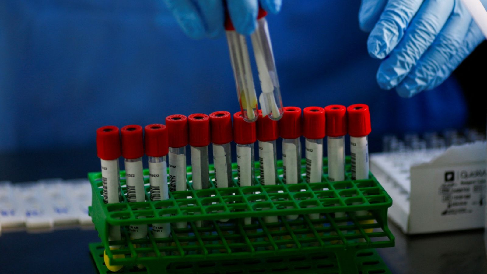Imagen de un técnico de laboratorio trabajando con muestras de hisopos de personas a las que se les hizo la prueba de la COVID-19.