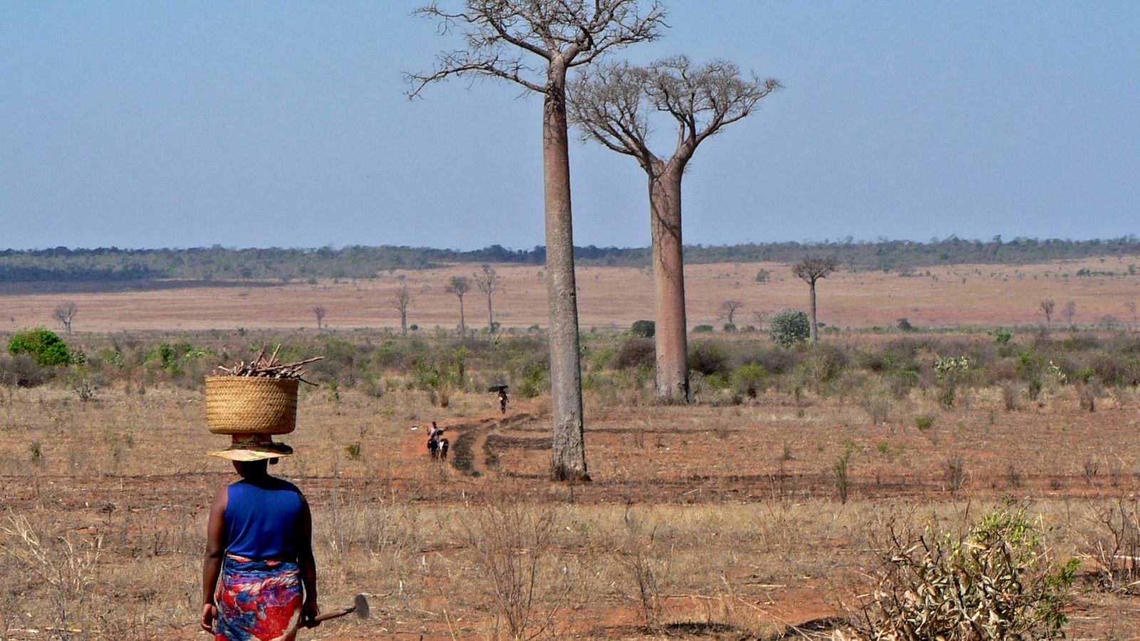 Una mujer camina en busca de agua en Madagascar