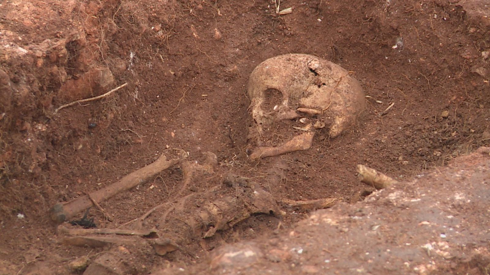 Restes d'ossos d'una fossa comú a Inca
