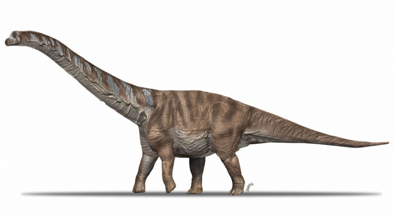 Representación artística del Abditosaurus kuehnei.