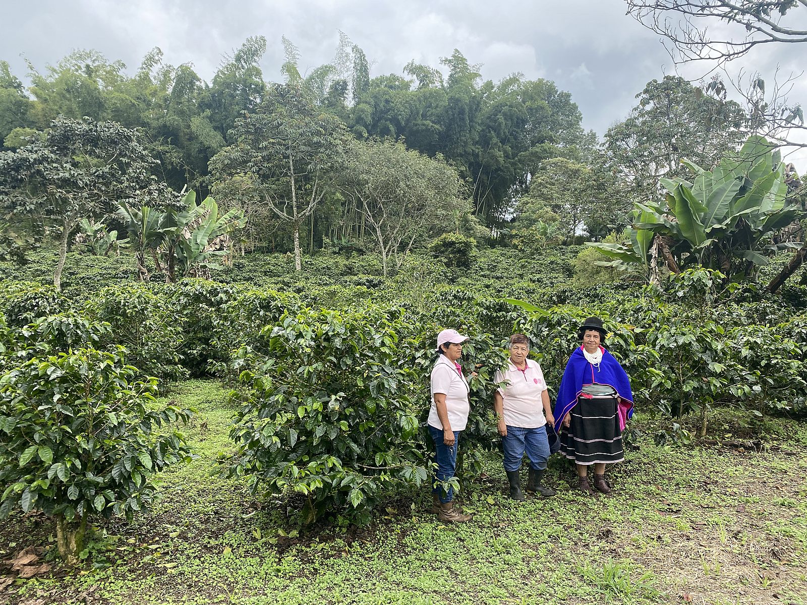 El café de Colombia con aroma feminista