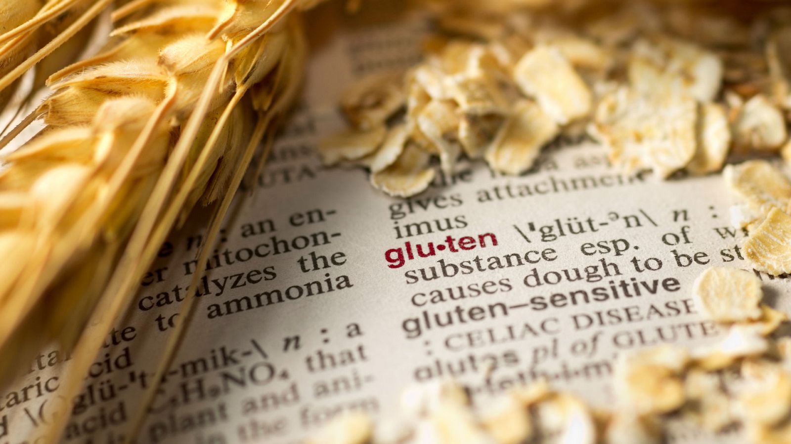 El gluten es una proteina presente en el trigo, en la cebada y en el centeno