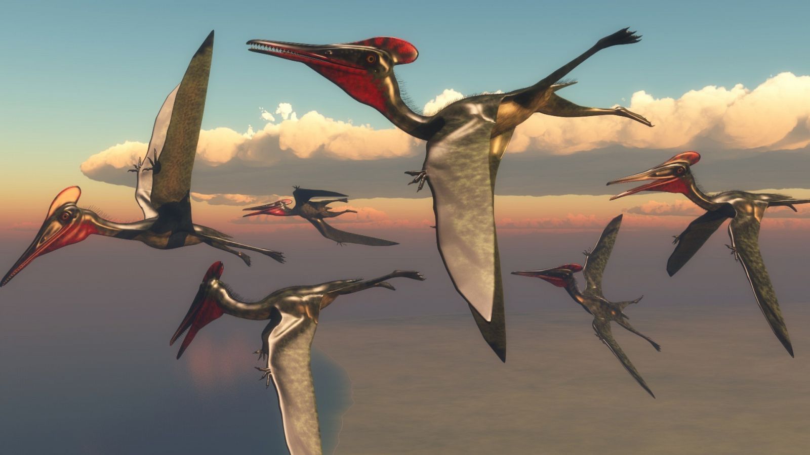 Resuelven el misterio de las plumas de los pterosaurios