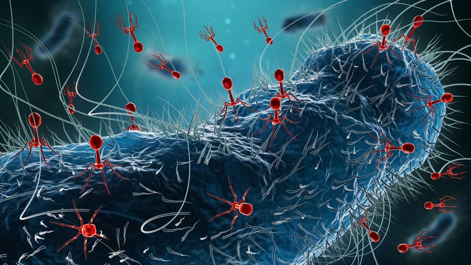 Virus bacteriófagos atacando a una bacteria, en una ilustración 3D