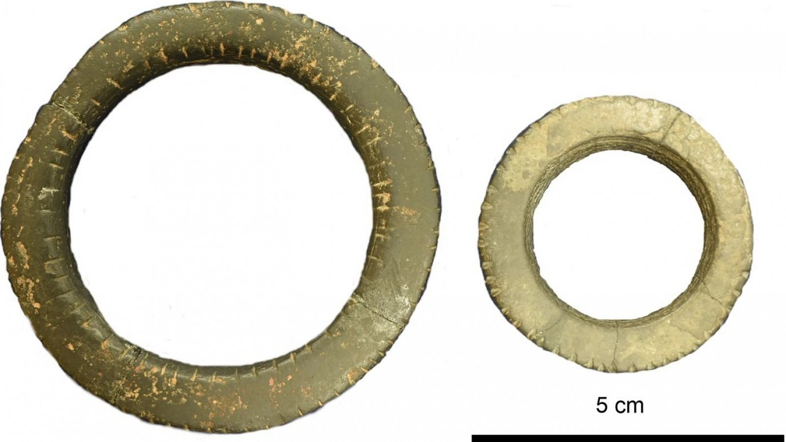 Anillos ornamentales de la Edad de Piedra formados por dos fragmentos diferentes