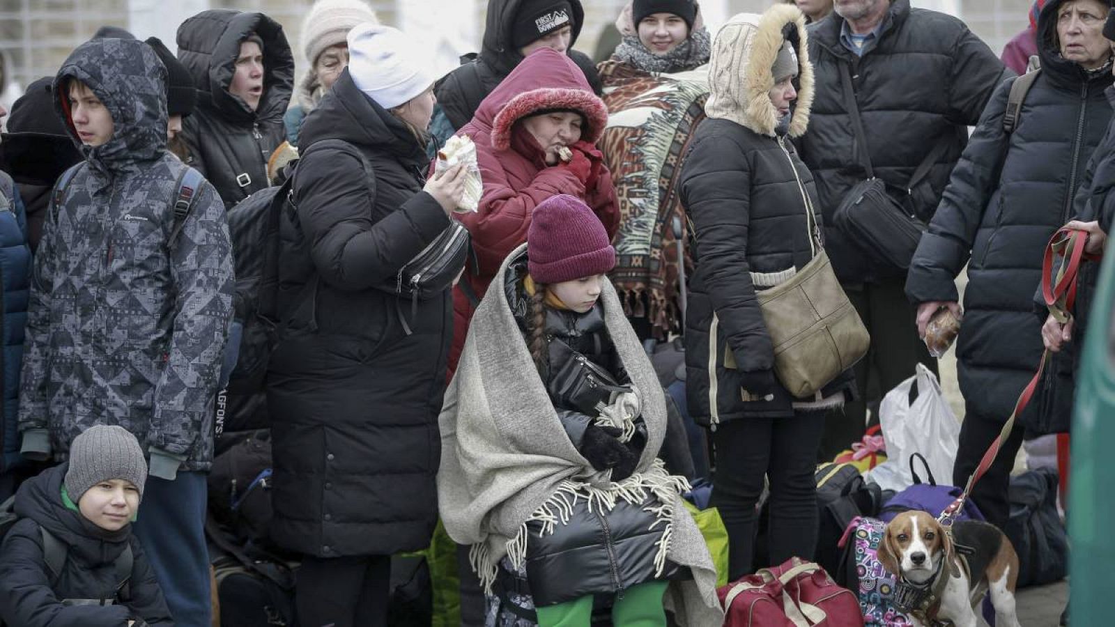 Personas que salieron de Ucrania esperan un autobús que los lleve a la estación de tren en Przemysl, en el cruce fronterizo de Medyka, Polonia.