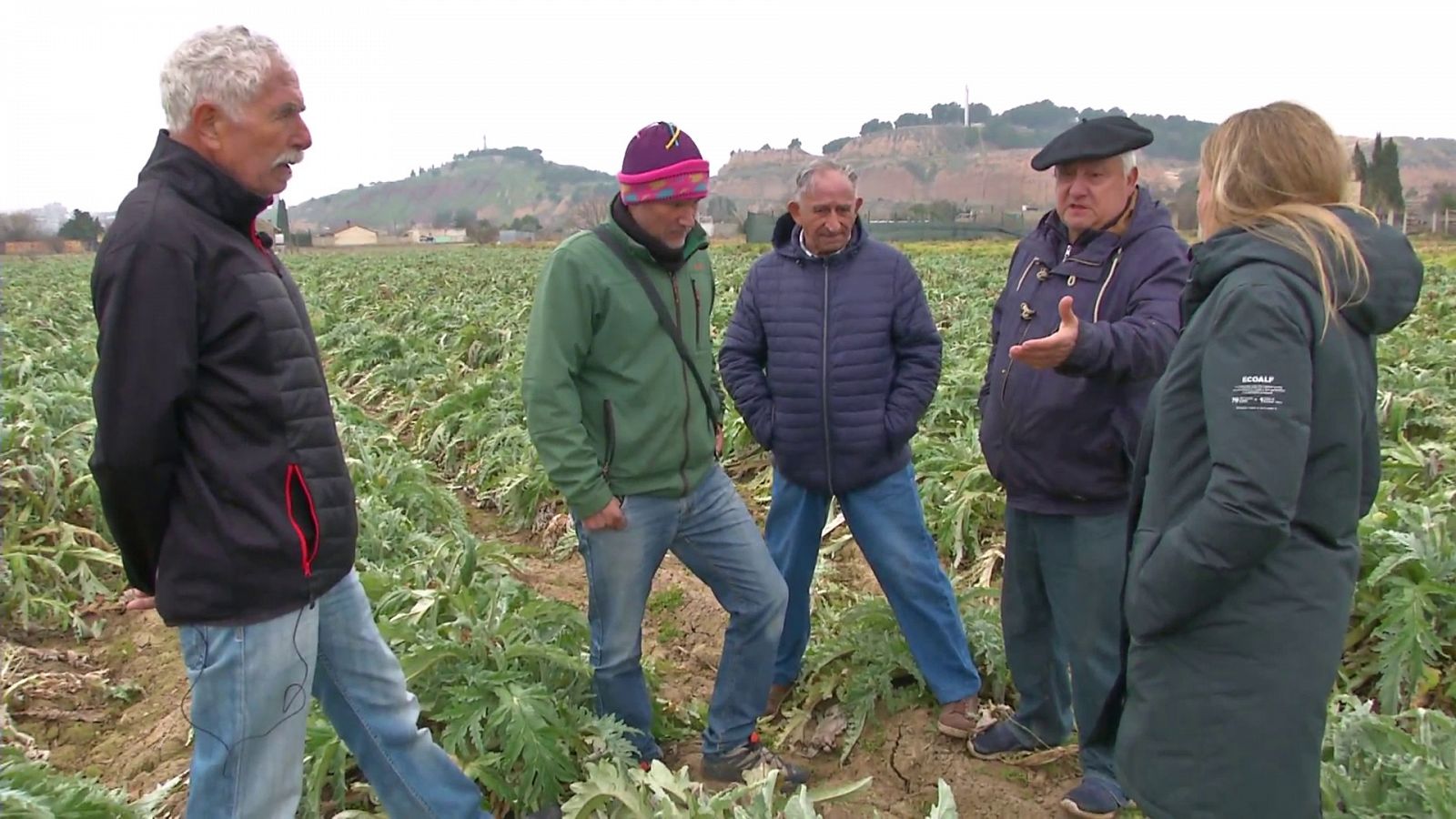 Un grupo de agricultores conversa, en el campo, con una periodista de Comando actualidad.