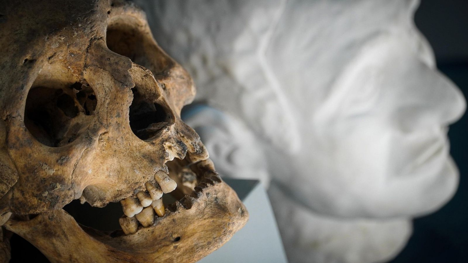 El cráneo y la reconstrucción en piedra de un pompeyano en una imagen de archivo