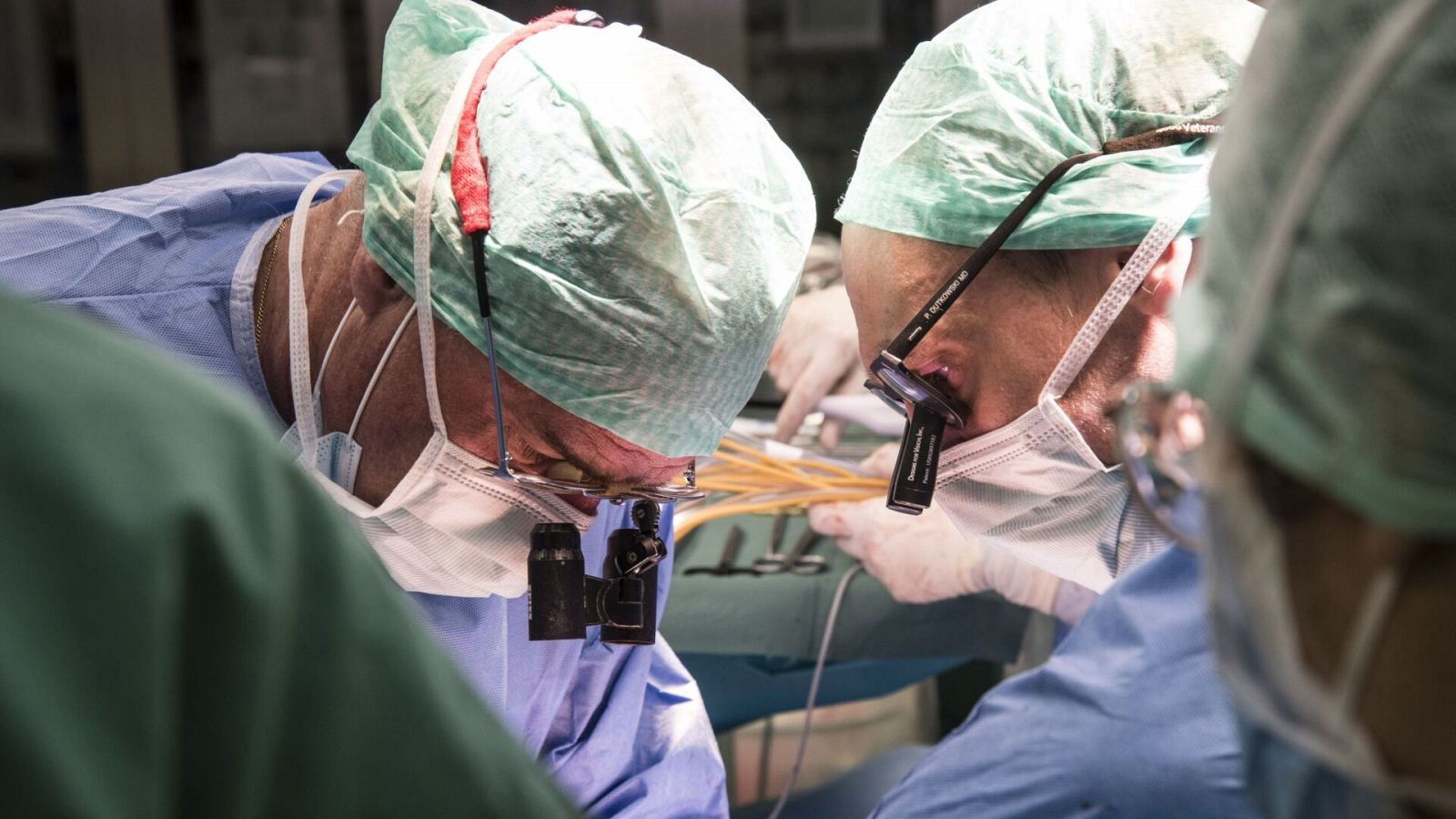 Los cirujanos Pierre-Alain Clavien y Philipp Dutkowski durante el trasplante de hígado tratado en la máquina.