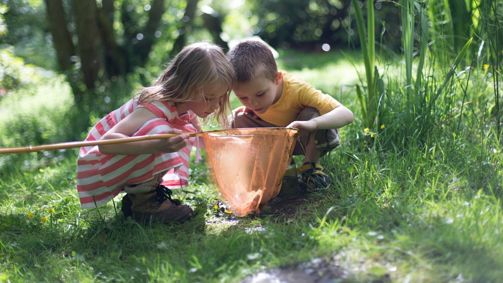 Dos niños juegan con un cazamariposas en la naturaleza