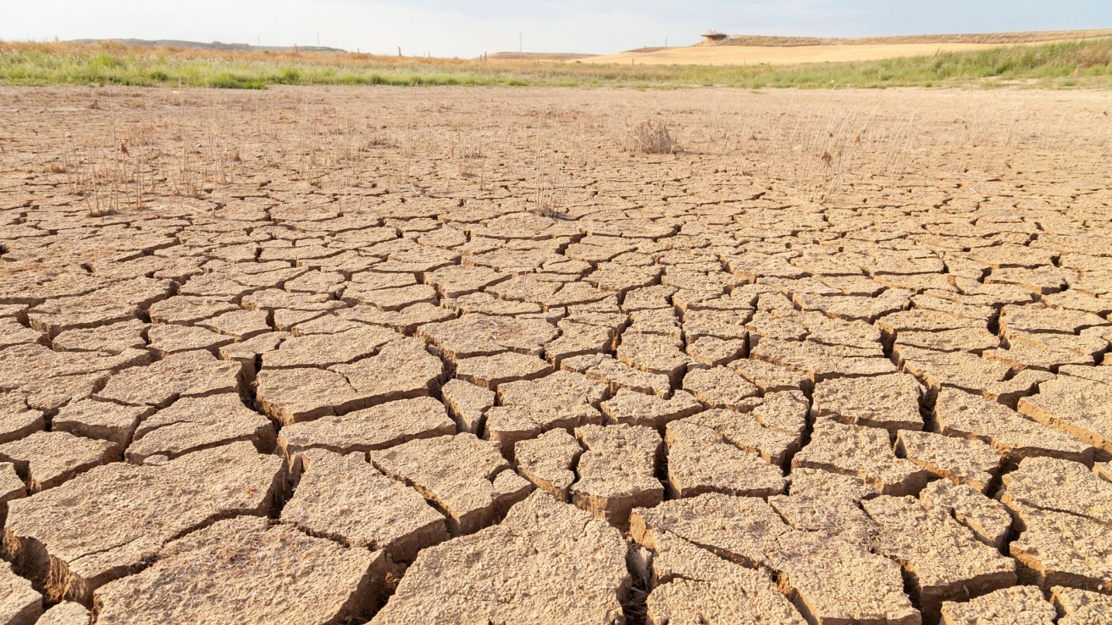 El Día Mundial para Combatir la Desertificación y la Sequía se celebra cada 17 de junio