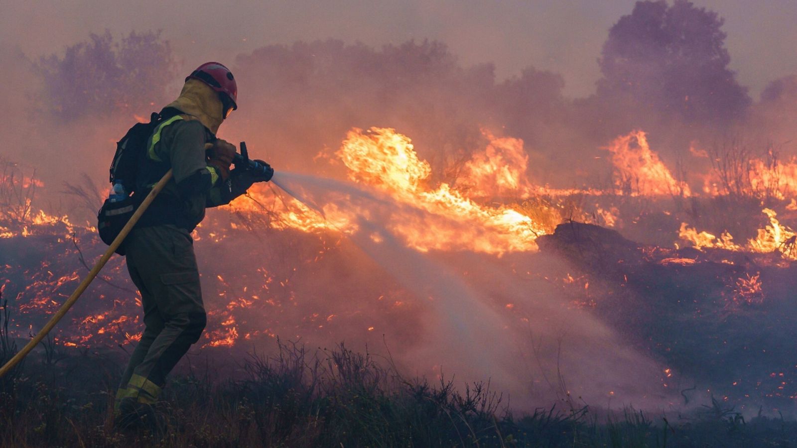 Un bombero combatiendo las llamas en el incendio de Sierra de la Culebra, en Zamora.