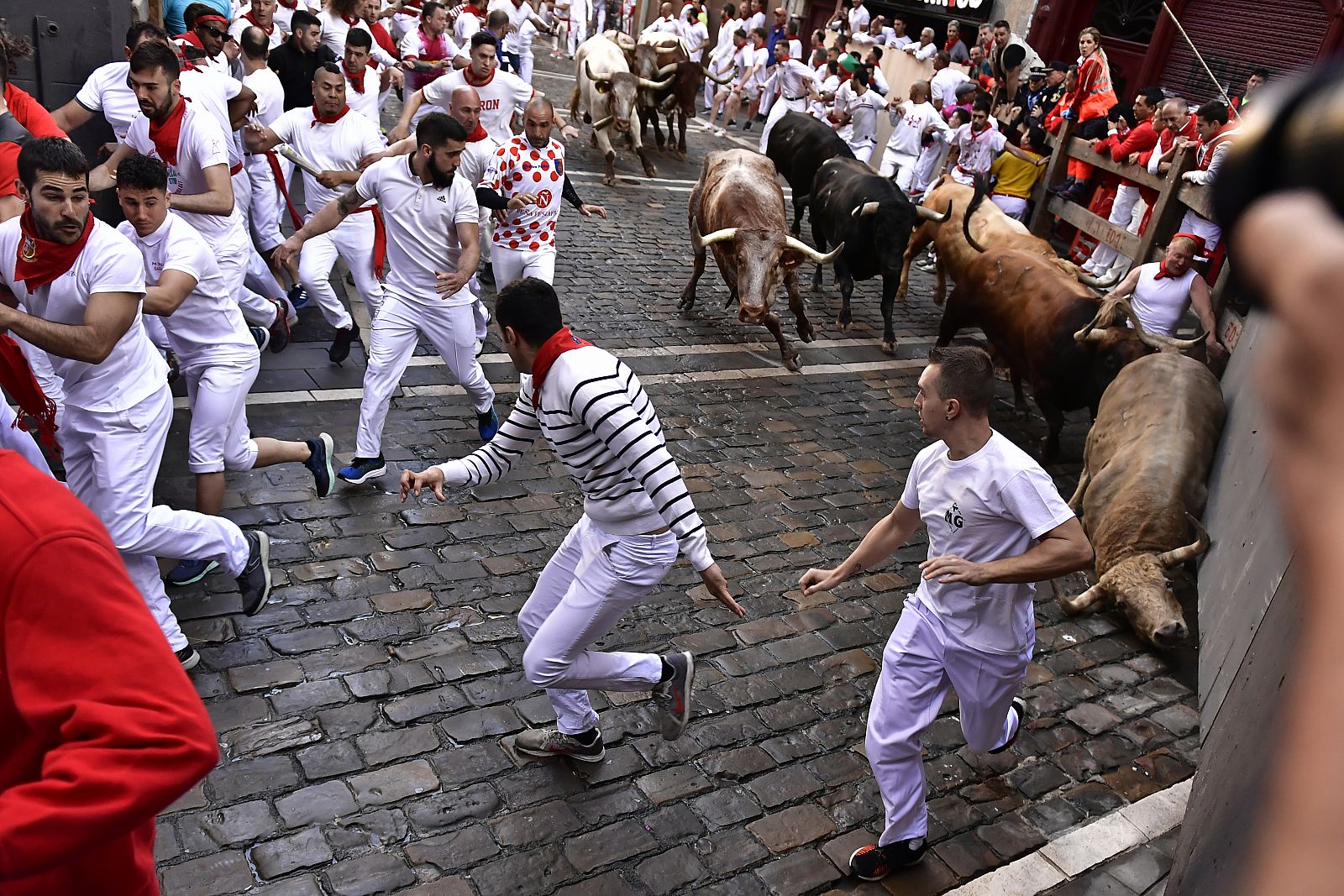 El primer encierro de San Fermín en Pamplona desde 2019 ha sido rápido y emocionante.