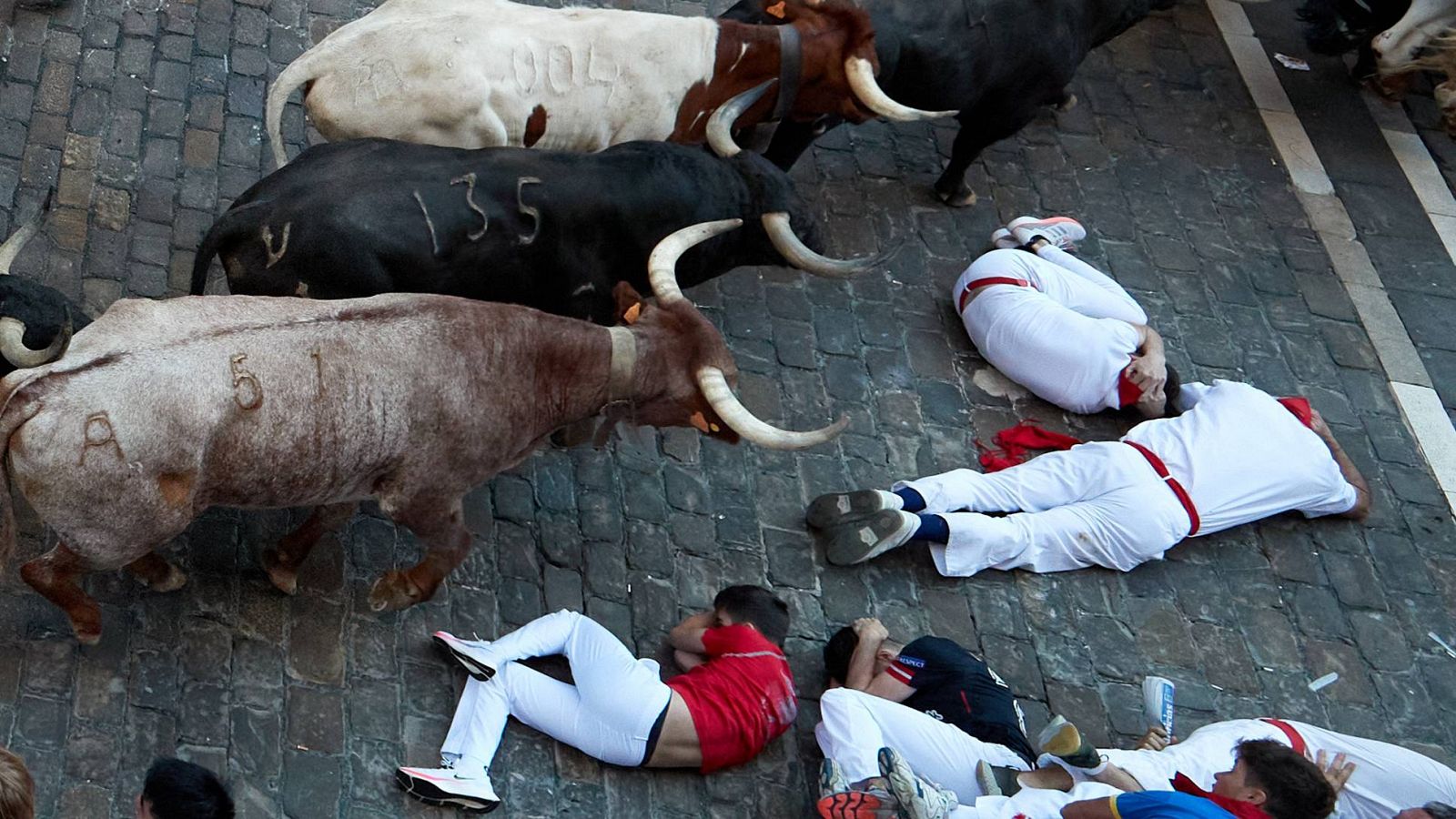 Varios mozos caen ante los toros en la calle Estafeta.
