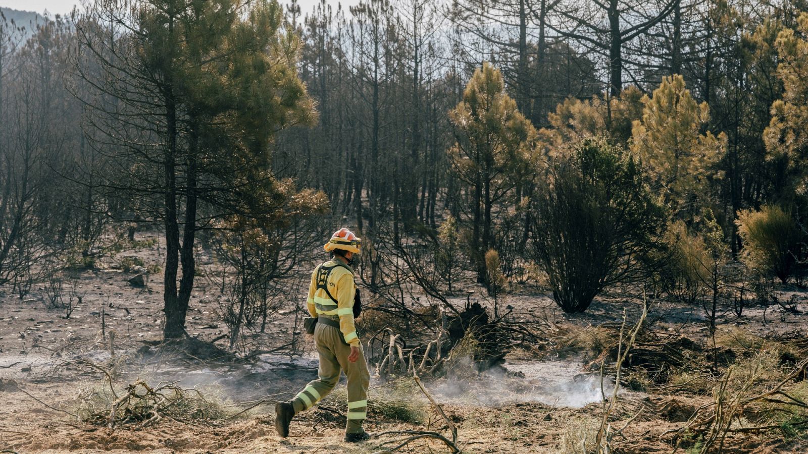 Un agente en el incendio de Cebreros (Ávila)