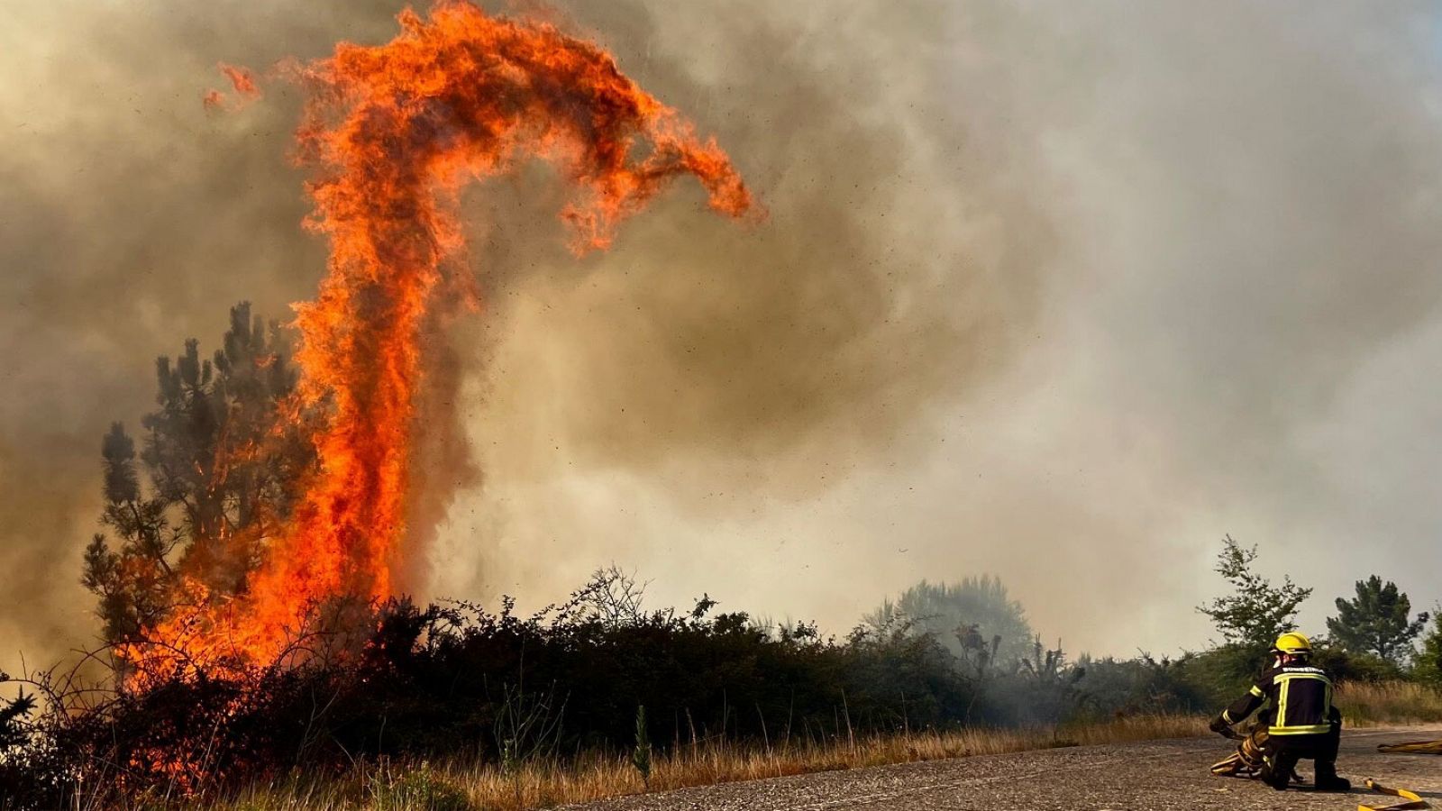 Efectivos de bomberos trabajando en la extinción de un incendio forestal en A Cañiza, Pontevedra