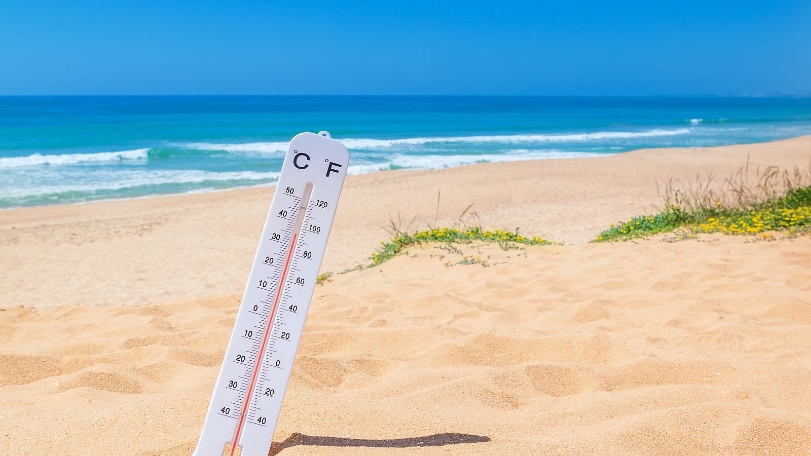 La temperatura del Mediterráneo ha subido entre 2,5 y 4 grados respecto a los marcadores usuales en esta época
