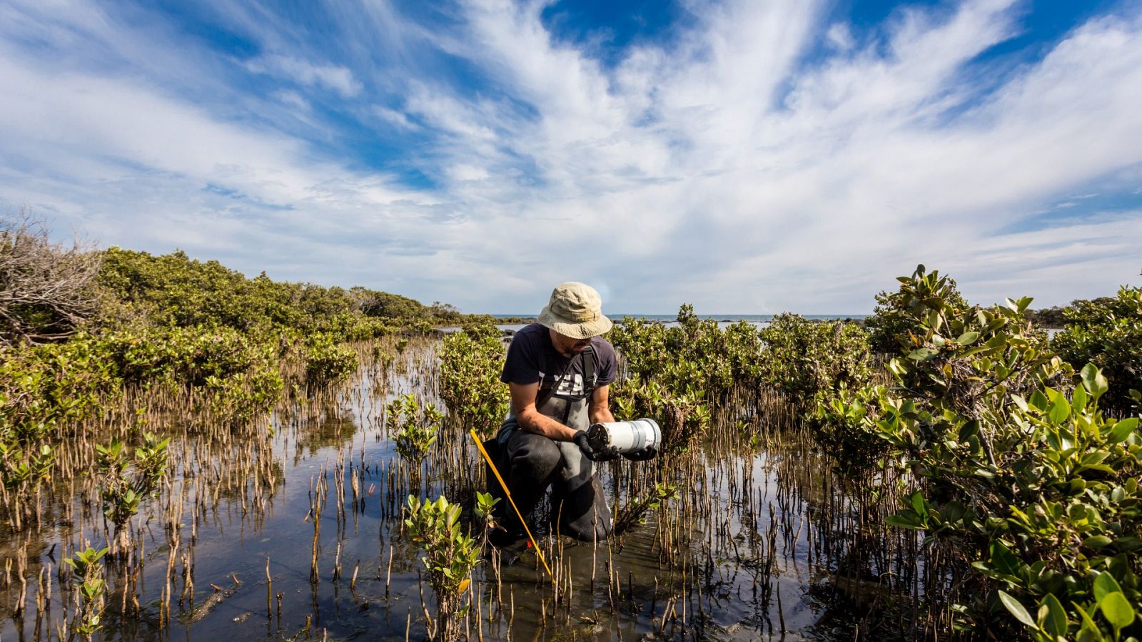 Empleos verdes: el salvavidas laboral para hacer frente al cambio climático