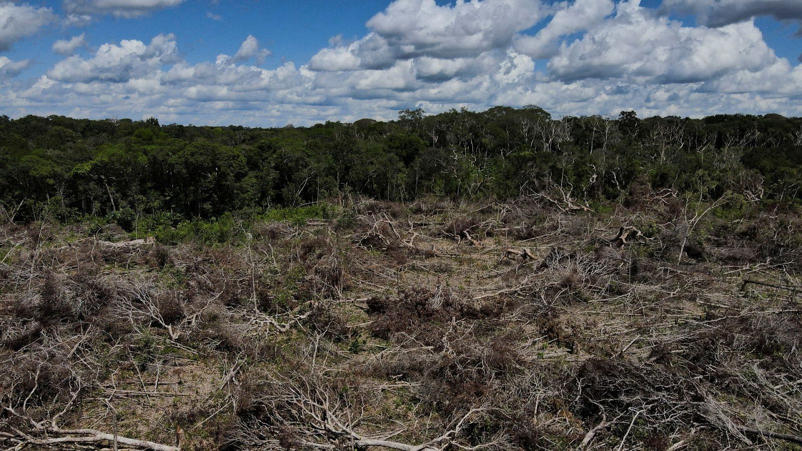 Una zona deforestada de la Amazonía brasileña en Manaos