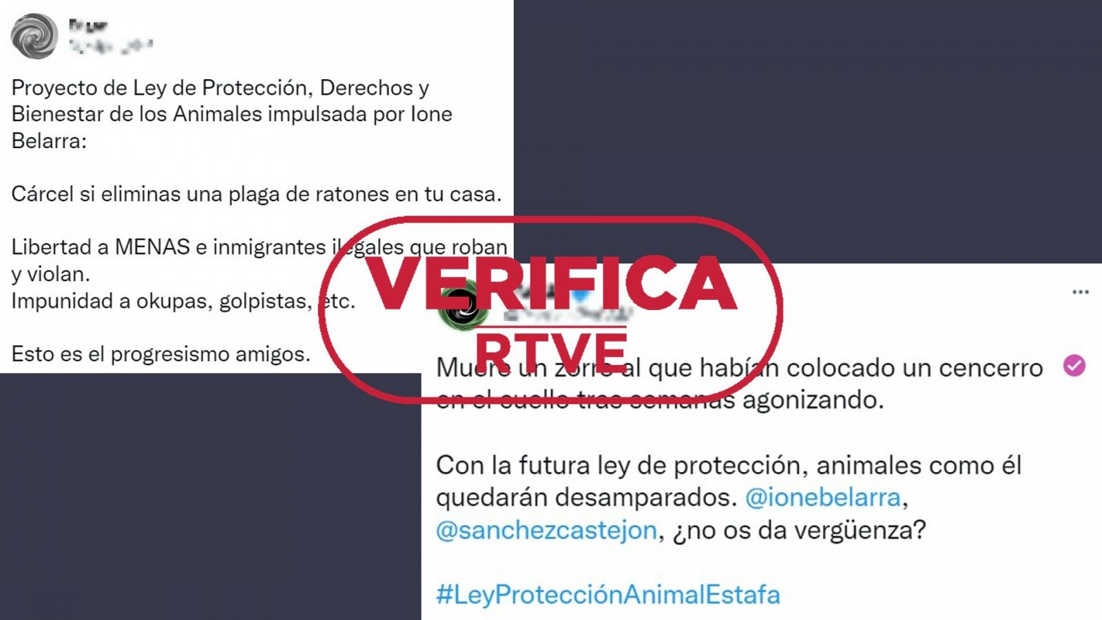 Mensajes que difunden desinformaciones sobre la ley de protección, derechos y bienestar de los animales con el sello: VerificaRTVE