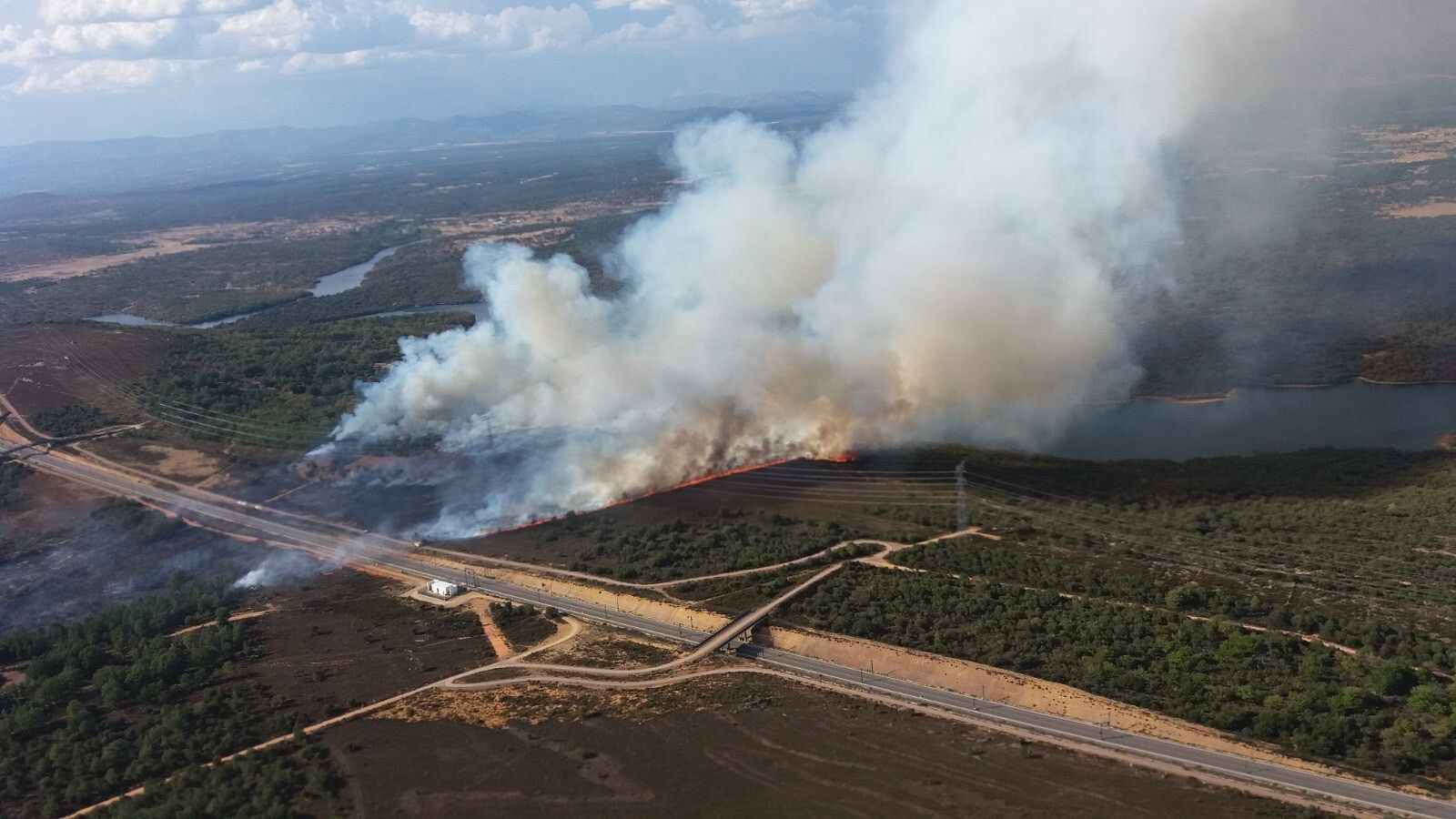 Un incendio forestal en Zamora obliga a cortar la línea del AVE Madrid-Galicia