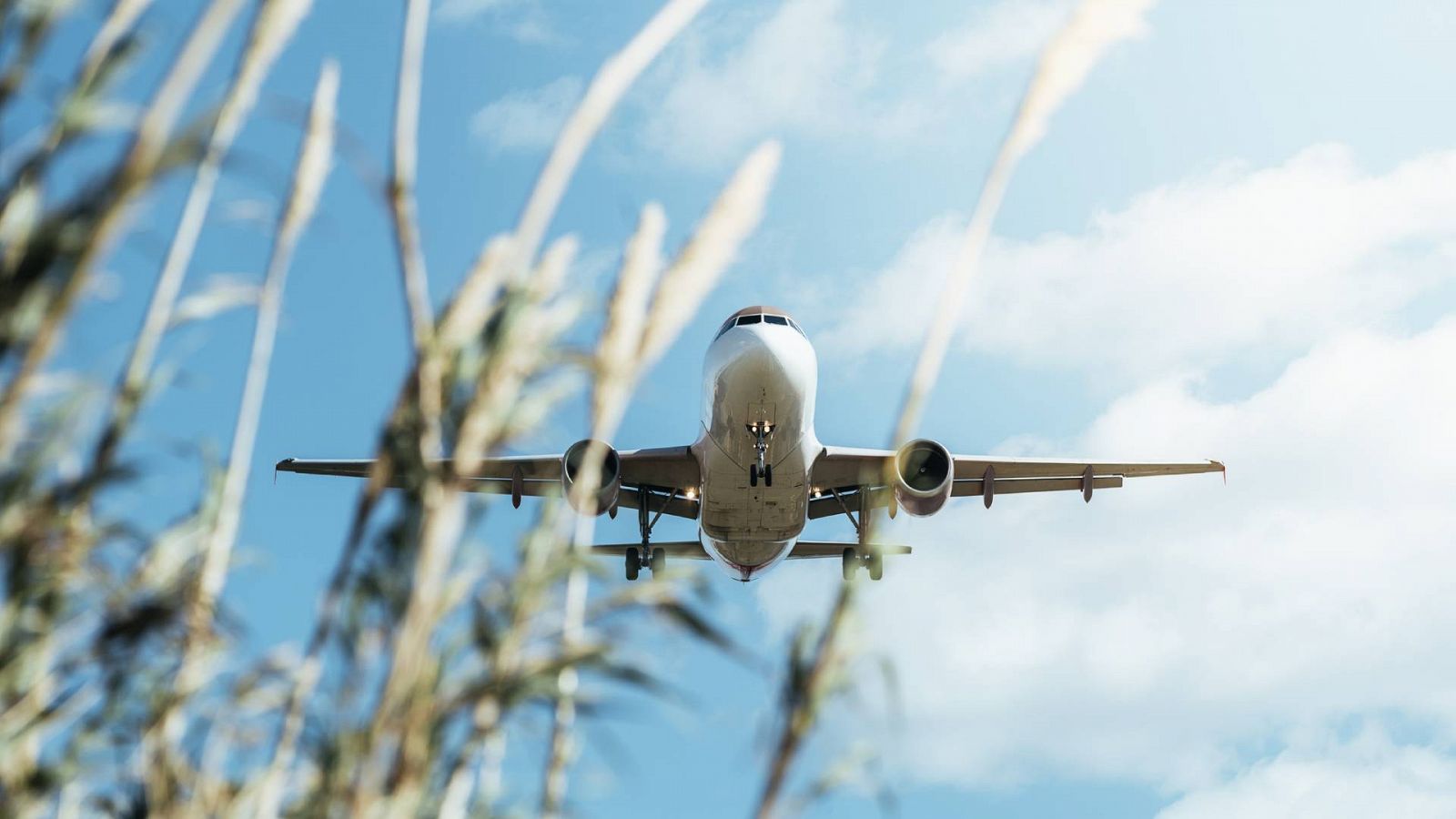 Imagen de un avión preparado para aterrizar