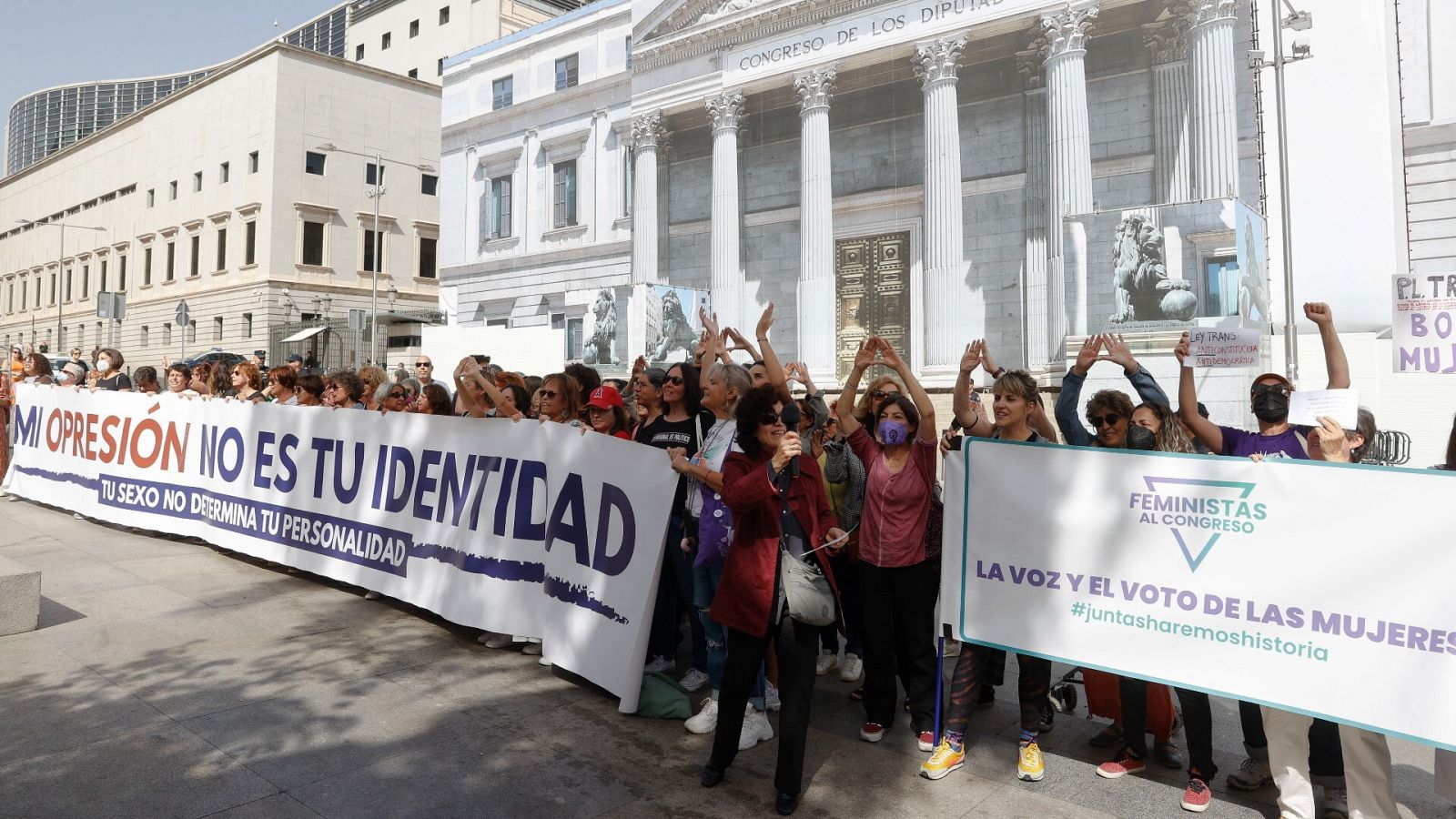 Decenas de feministas protestan ante el Congreso contra la ley trans