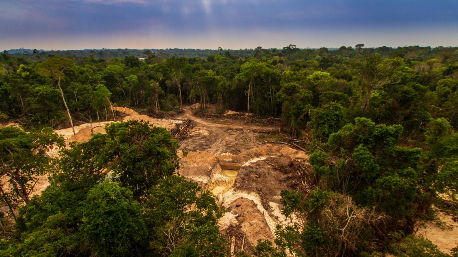 Área deforestada en la selva amazónica cerca del territorio indígena Menkragnoti, Brasil.
