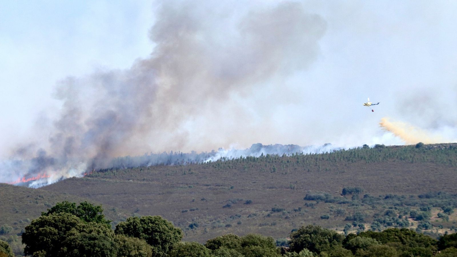 Vista del incendio en la comarca de Tábara (Zamora)