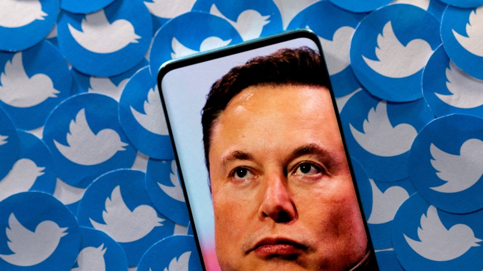 Más bandazos de Twitter: Musk paraliza el servicio de pago
